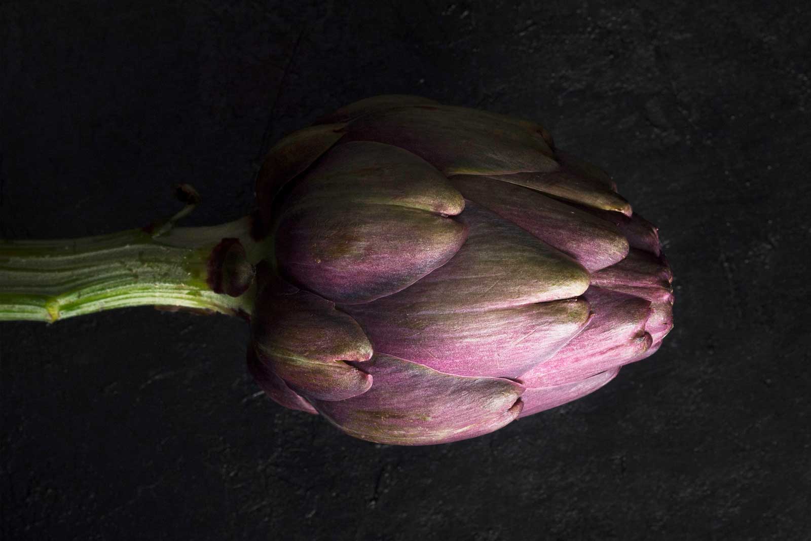 Carciofo violetto di Perinaldo