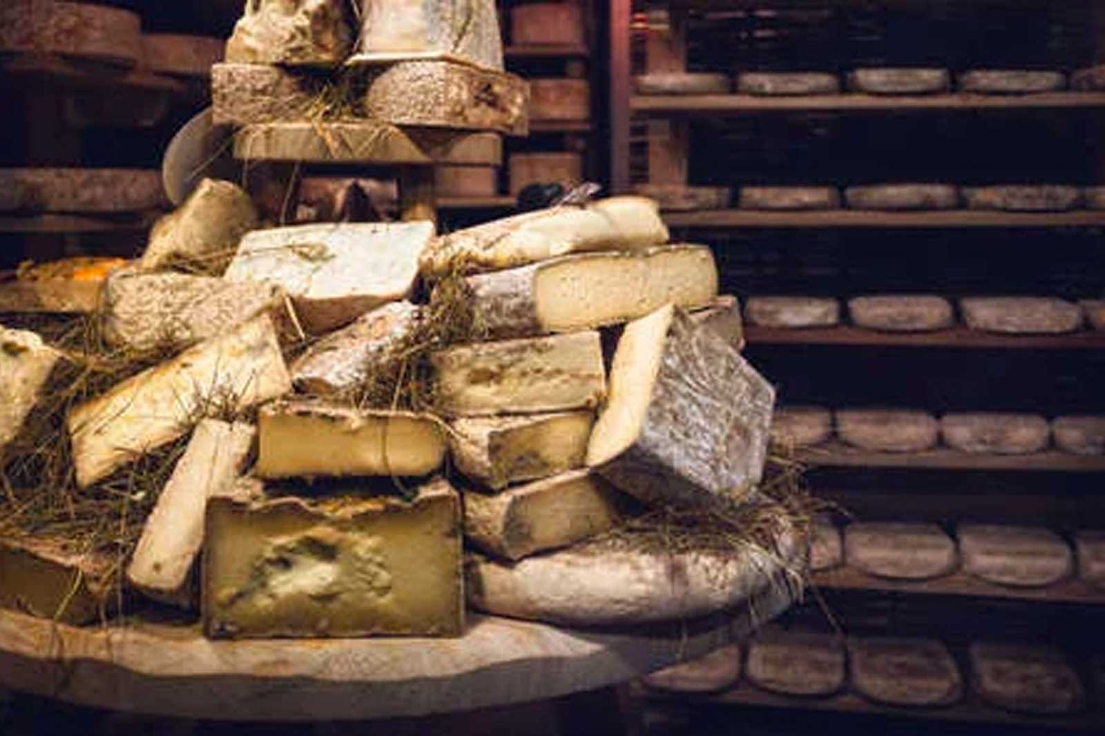 Toma di pecora brigasca